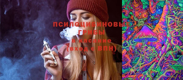 прущие грибы Балабаново