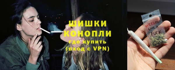 гашик Няндома