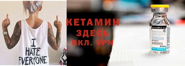 гашик Няндома