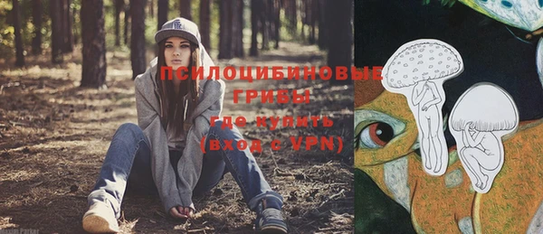 соль ск Остров