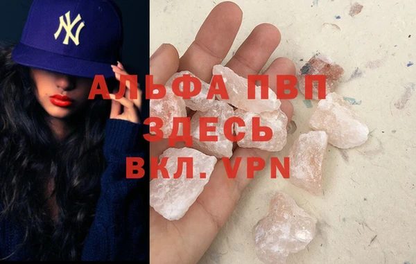 прущие грибы Балабаново