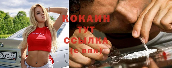 прущие грибы Балабаново