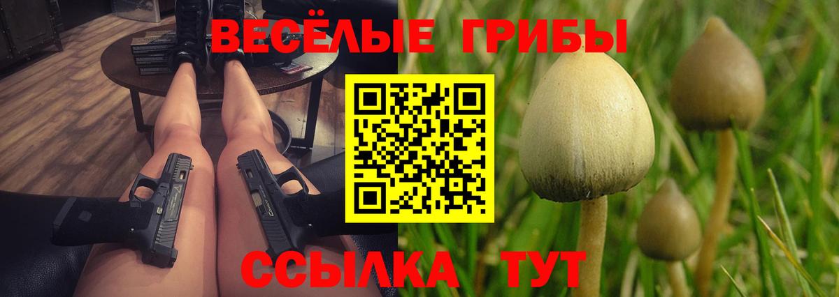 Галлюциногенные грибы Magic Shrooms  Псилоцибиновые грибы Psilocybe  Вход с VPN  Коркино 